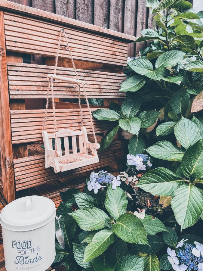 فيلا Wooden Cosy Retreat Hunters Quay دُنون المظهر الخارجي الصورة
